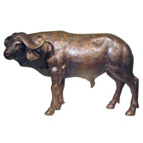 Bronze Cape Buffalo
