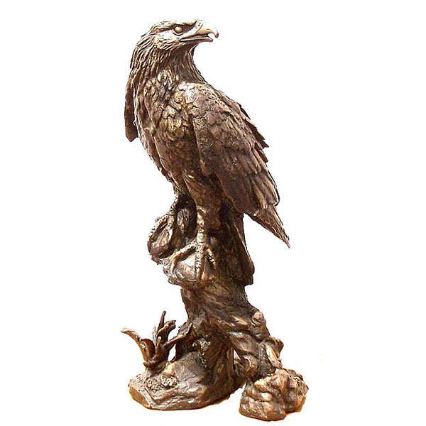 bronze jackal buzzard