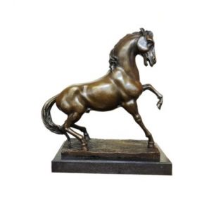 bronze Feral horse from the Namib desert