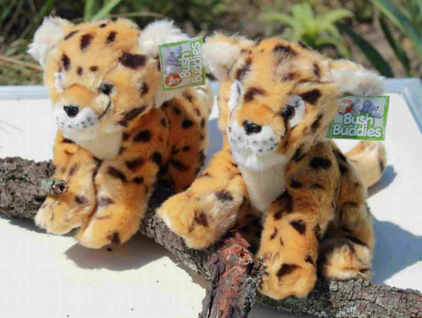 1002 - Cheetah Large Sitting