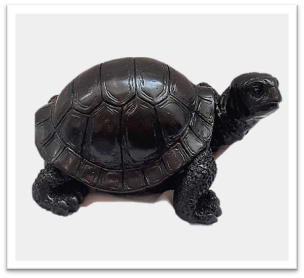 Resin Tortoise 819